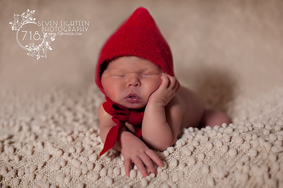 Indianapolis Newborn Photographer Indianapolis baby photography Brownsburg newborn photographer brownsburg family photographer brownsburg photography _0013.jpg