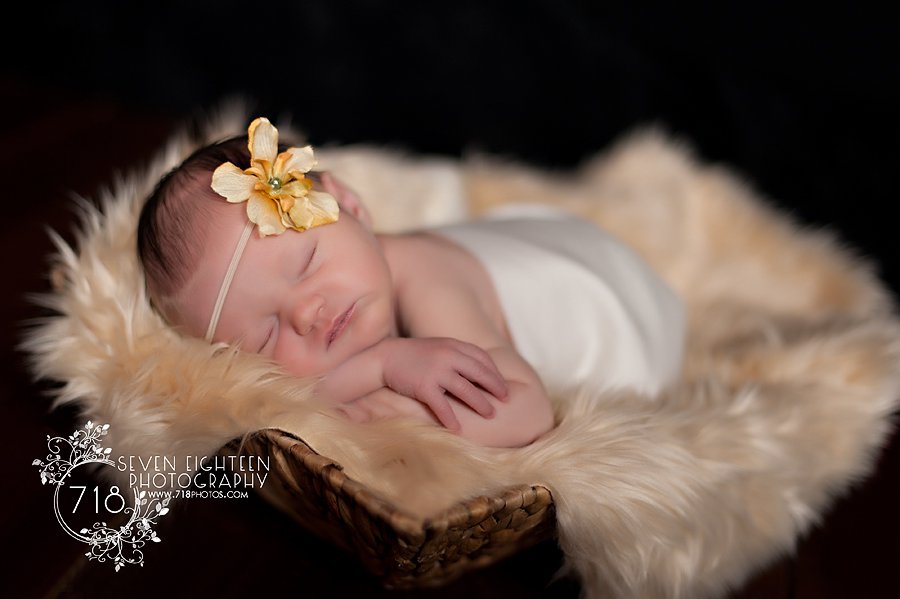 Indianapolis Newborn Photographer Indianapolis baby photography Brownsburg newborn photographer brownsburg family photographer brownsburg photography _0023.jpg